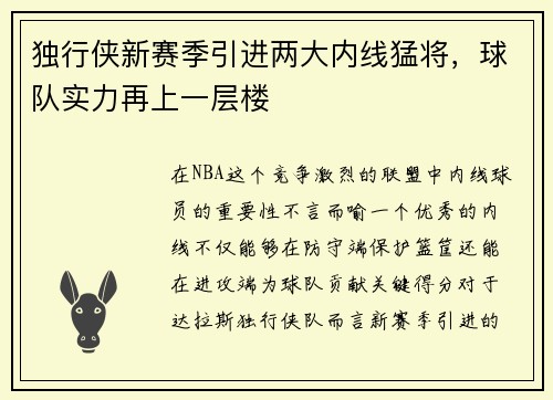 独行侠新赛季引进两大内线猛将，球队实力再上一层楼